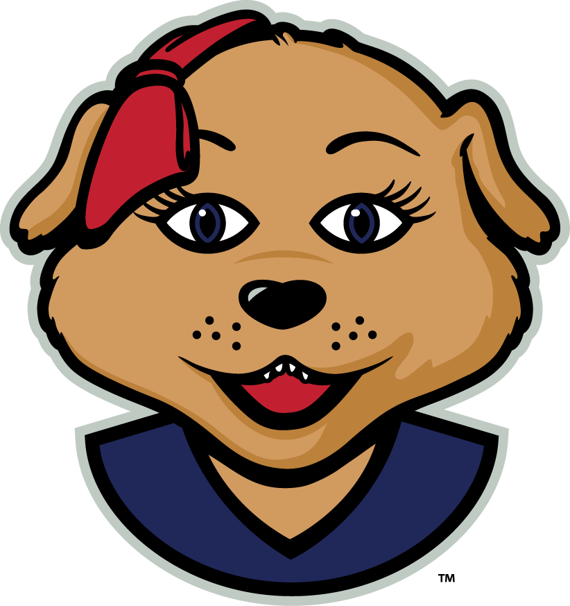 Arizona Wildcats 2013-Pres Mascot Logo 04 iron on paper